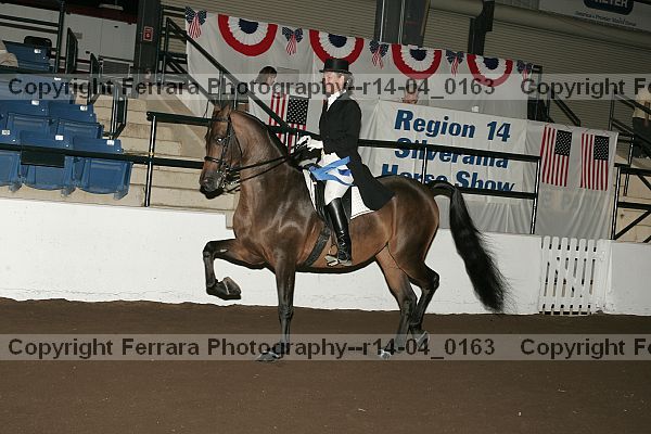 Proof Number r14-04_0163